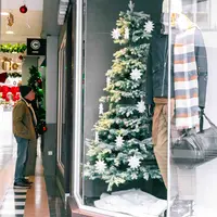 Les sapins de Noël s'installent DR