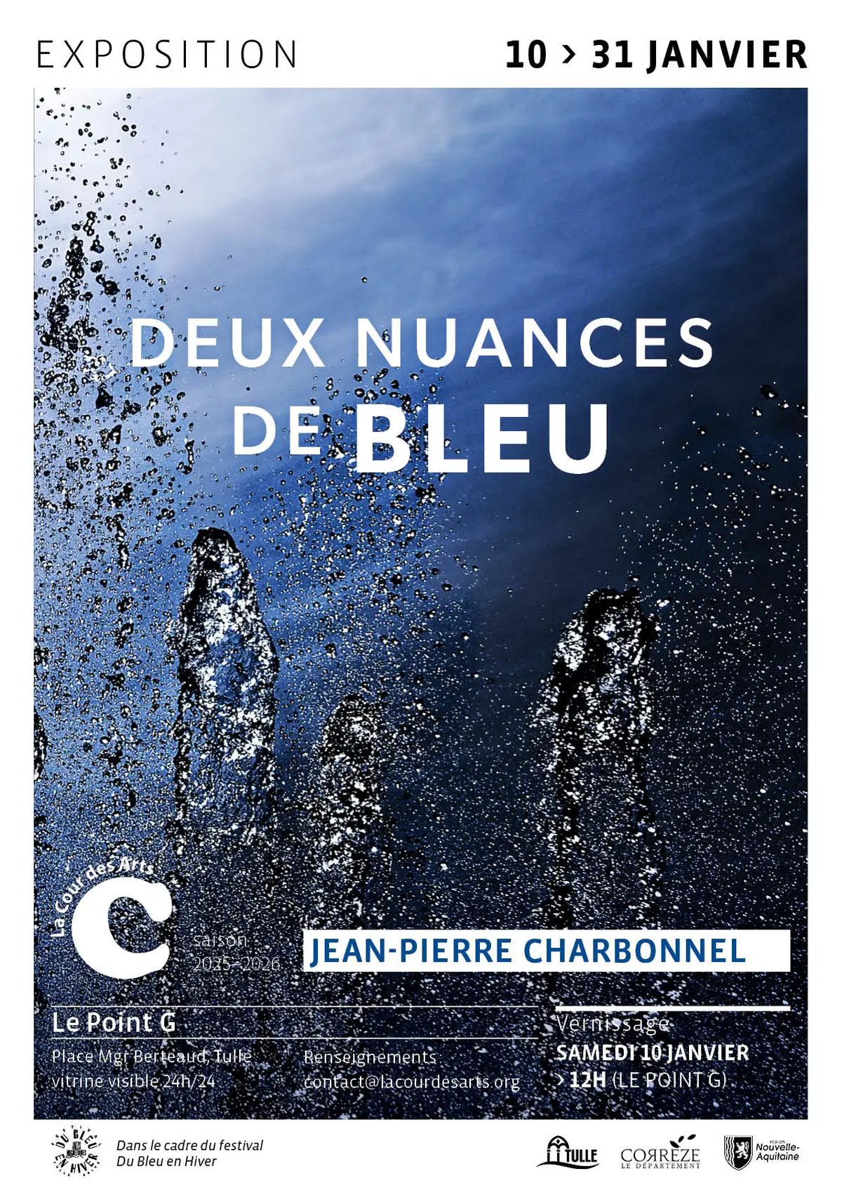 La Cours des Arts : Exposition Deux nuancesde Bleu