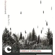 La Court des Arts : Exposition : Les bruissements des forêts de Camille Cathudal