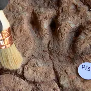 La Dalle De La Lieude, Témoin D’un Monde Oublié