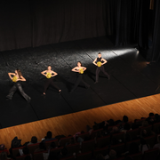 La danse dans tous ses états