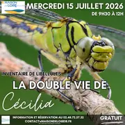 La double vie de Cécilia : découverte et inventaire des libellules
