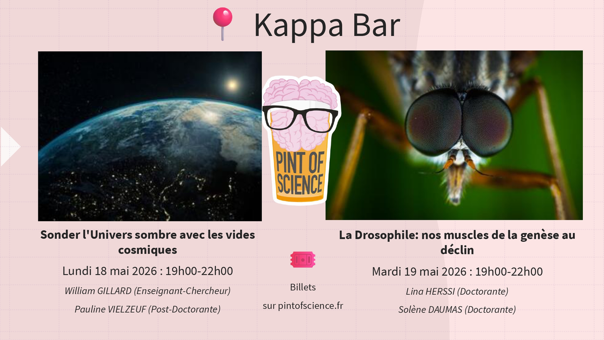 La Drosophile: nos muscles de la genèse au déclin - Pint of Science 2026