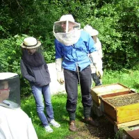 La fabrication du miel n'aura plus de secrets pour les visiteurs de la Miellerie du Ried à Artolsheim DR