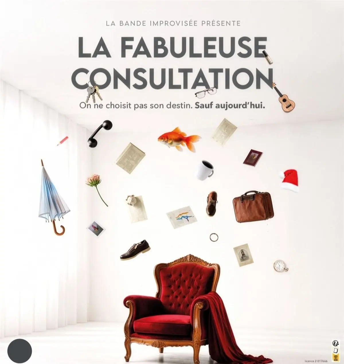 La fabuleuse consultation