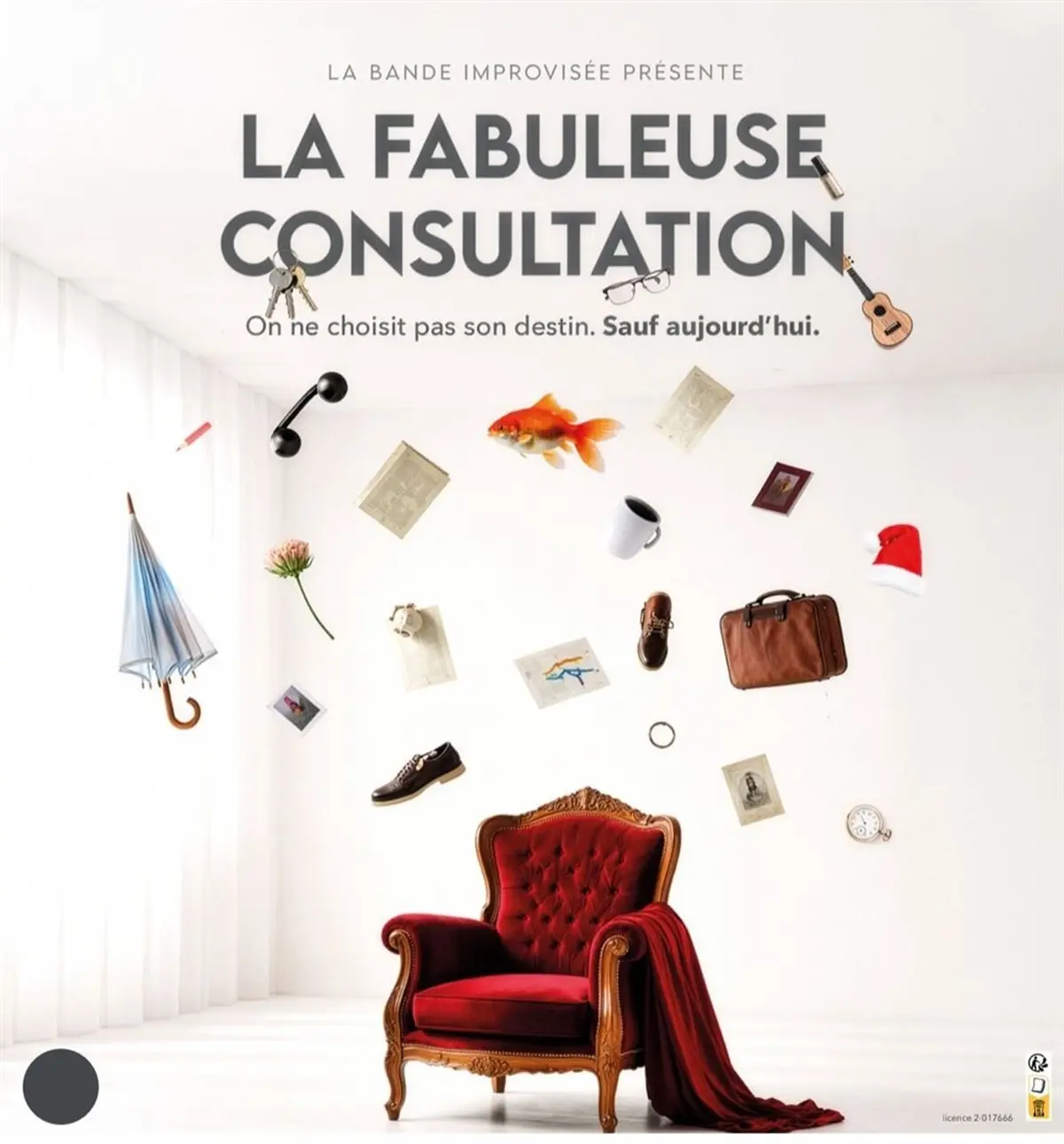 La fabuleuse consultation