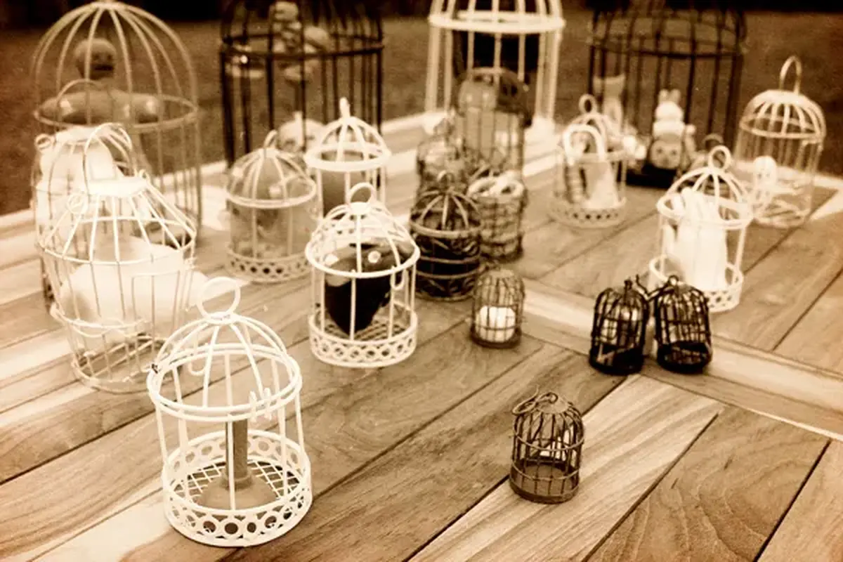 « La fabuleuse ménagerie »