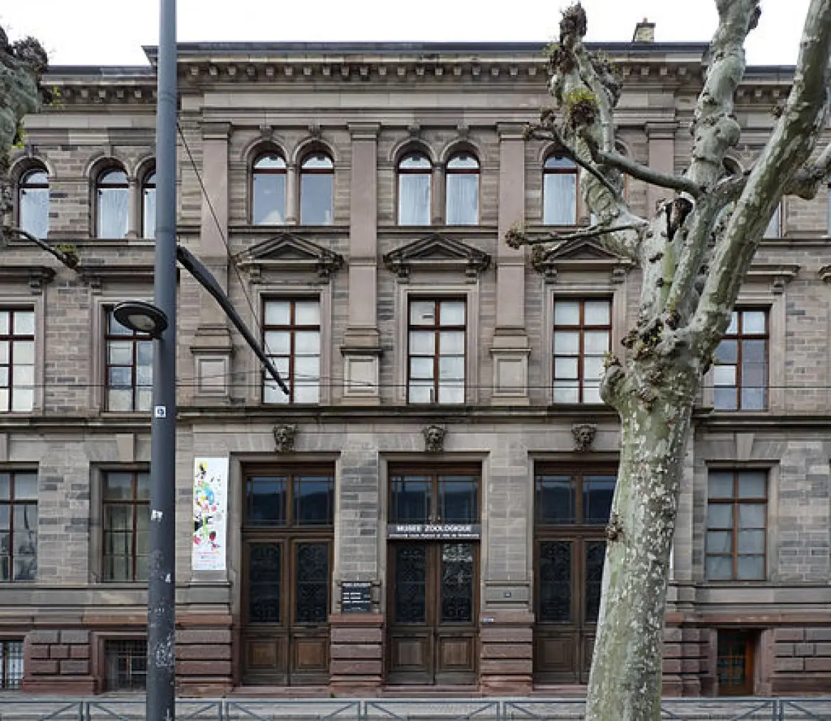 La façade sud du Musée Zoologique de Strasbourg