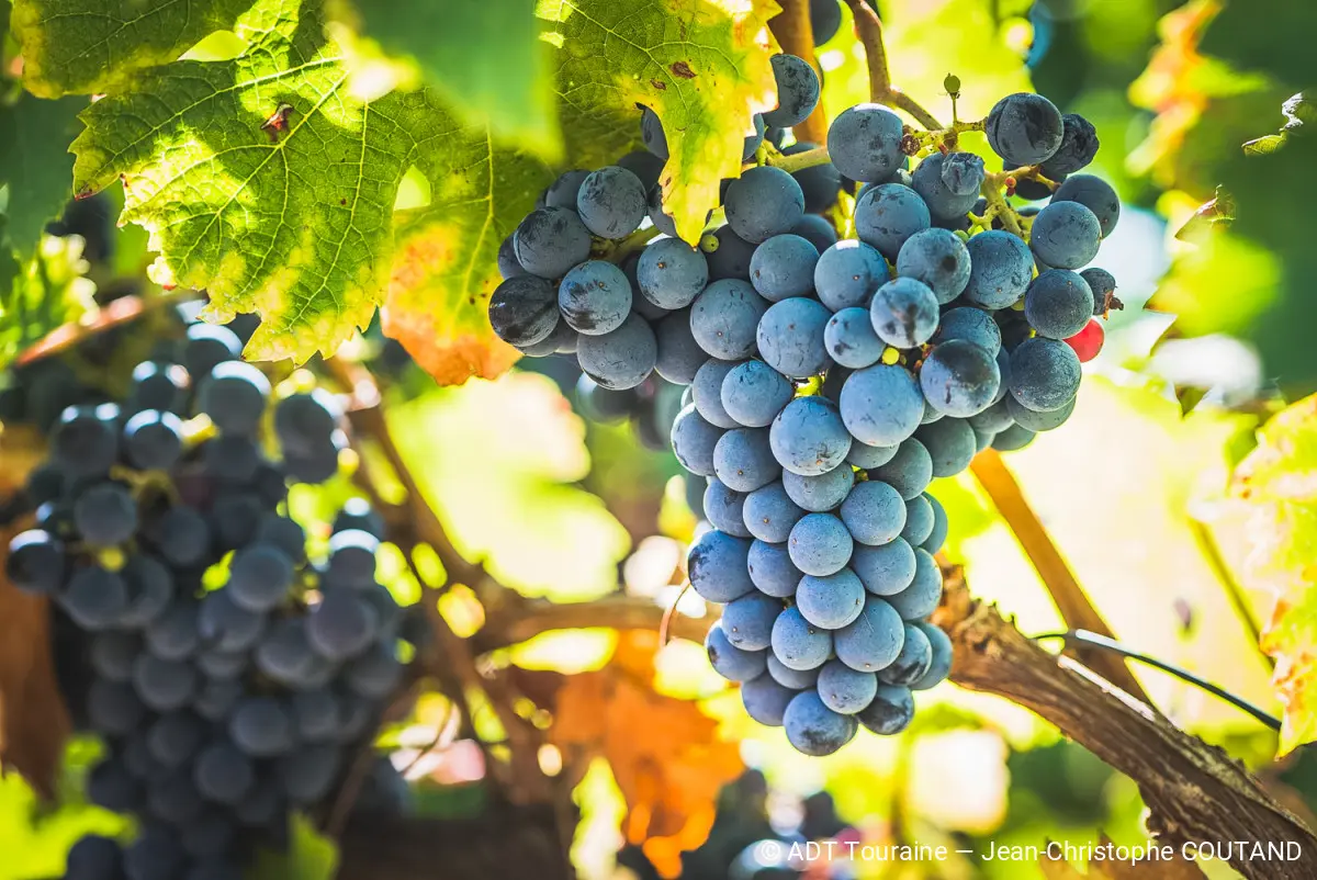 La familliale au Château de l'Aulée