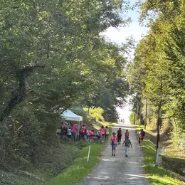 La Faran'DOLE d'octobre rose