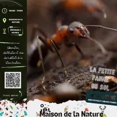 La Faune du sol