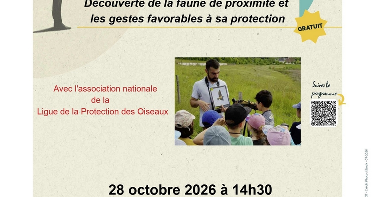 La faune locale - Festival Et si on en parlait ?