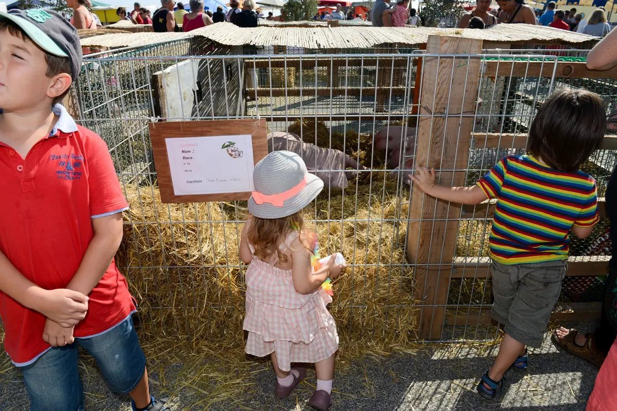 La Ferme A Canet