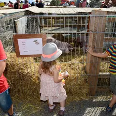 La Ferme A Canet
