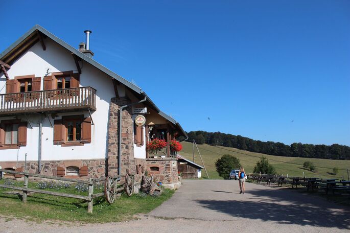 Ferme Auberge Route Des Cretes Vosges