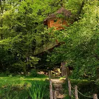 Que diriez vous d'une nuit dans les arbres ? DR