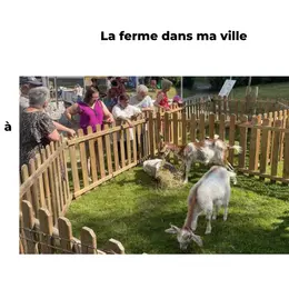 La ferme dans ma ville