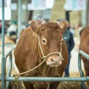 La Ferme s'invite 2026 à Poitiers : le salon régional de l'agriculture au Parc des Expositions