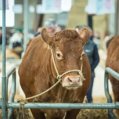 La Ferme s'invite 2026 à Poitiers : le salon régional de l'agriculture au Parc des Expositions