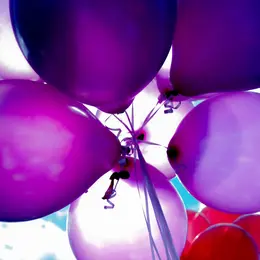 La fête de Folles