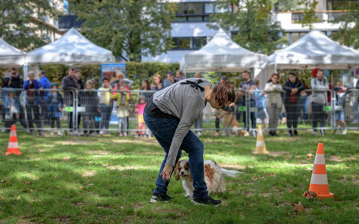 La Fête de l'animal en ville attire chaque année les amoureux des animaux.