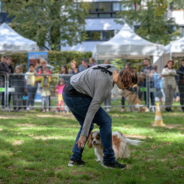 La Fête de l'animal en ville est de retour