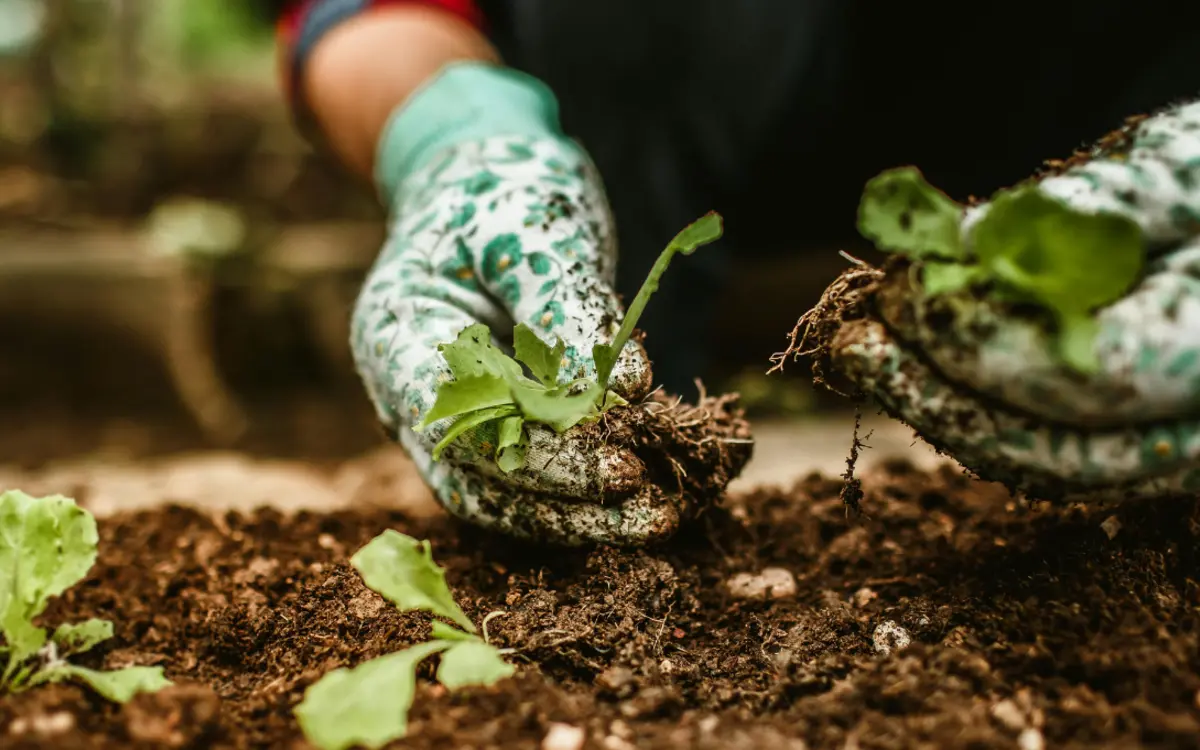 La Fête de la nature : grande après-midi festive