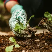 La Fête de la nature : grande après-midi festive