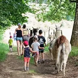 La fête de LamaZ