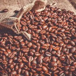 La fête du café