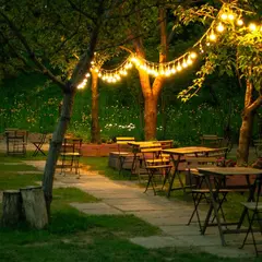 La fête du village
