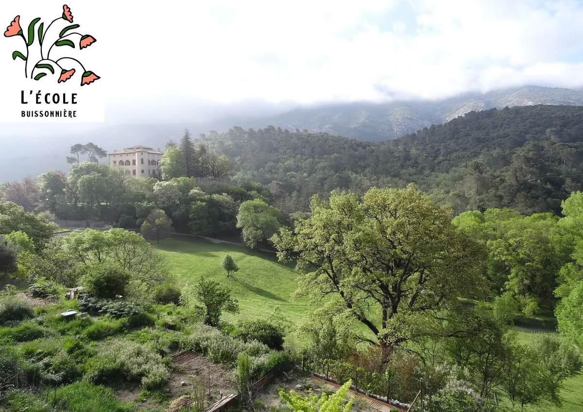 La flore méditerranéenne et ses usages