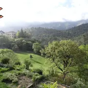 La flore méditerranéenne et ses usages