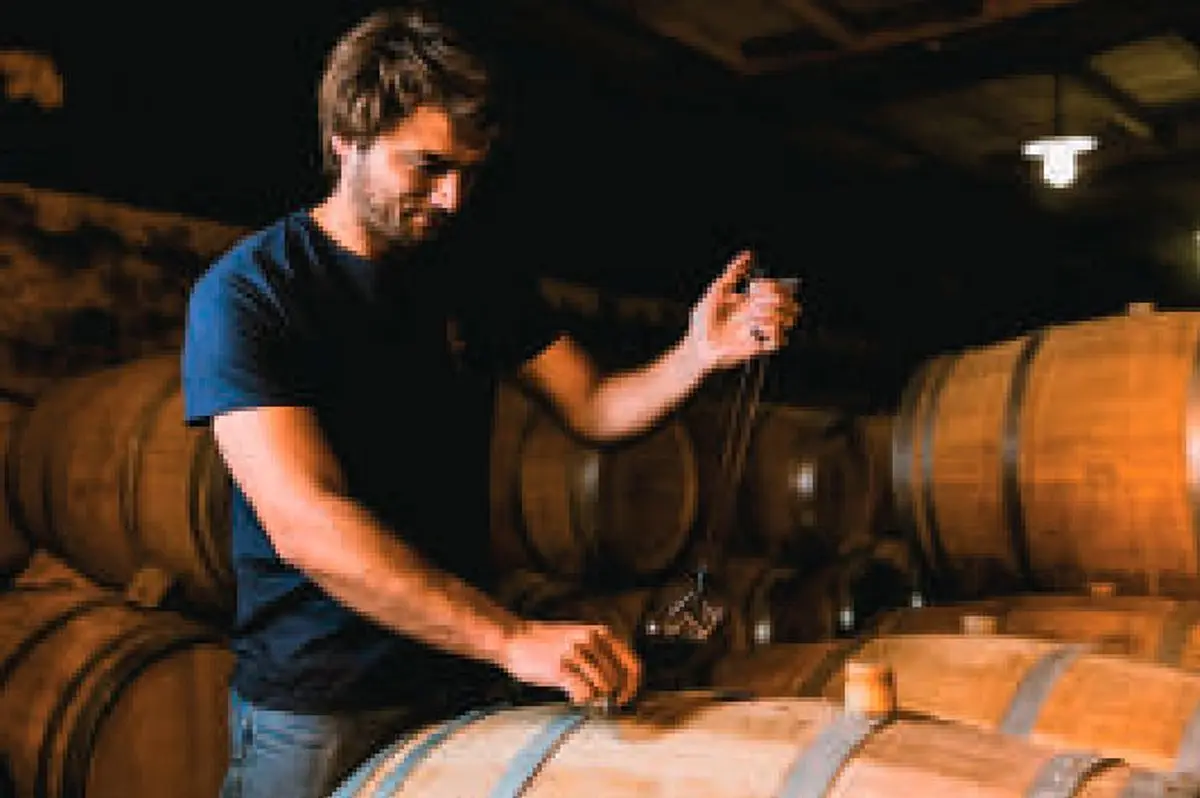 La Foire aux vins de Guebwiller : un rendez-vous incontournable pour les amateurs de vins d'Alsace