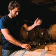 La Foire aux vins de Guebwiller : un rendez-vous incontournable pour les amateurs de vins d'Alsace