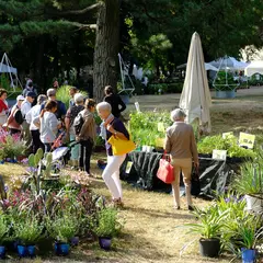 La Folie des plantes à Nantes en 2026 : marché aux plantes