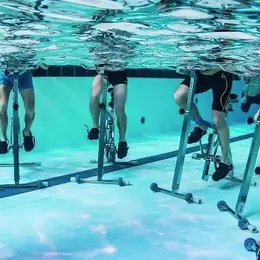 4 cours aquatiques incontournables