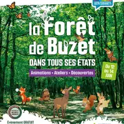 La Foret De Buzet Dans Tous Ses Etats