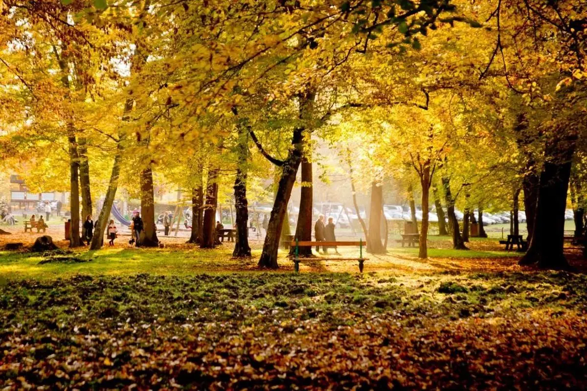 La Forêt de Haguenau, terrain de jeux et de découvertes