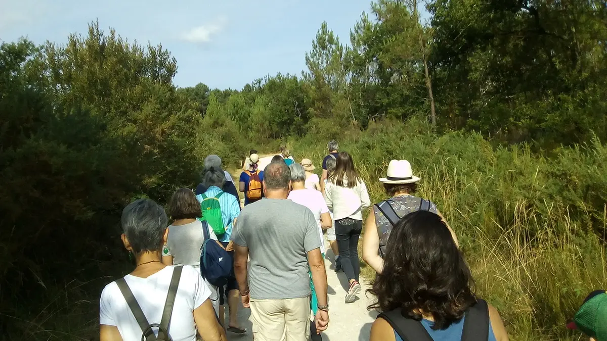 La forêt de Migelane