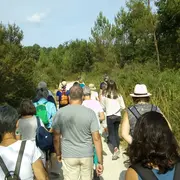 La forêt de Migelane