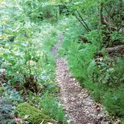 Escapade dans le Florival 