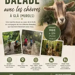 La forêt du Dragon - Randonnée avec des chèvres de bât
