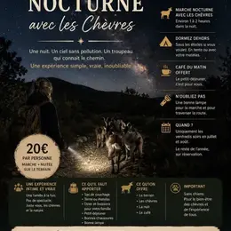 La forêt du Dragon - Randonnée nocturne avec des chèvres de bât
