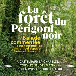 La Forêt du Perigord Noir: Balade commentée