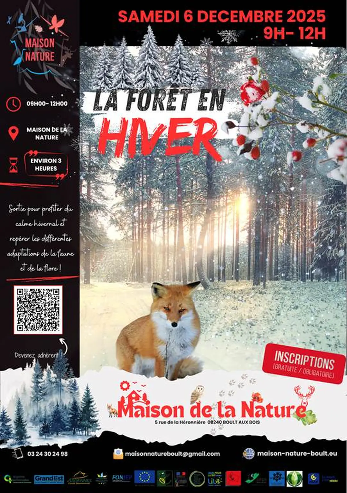 La forêt en hiver