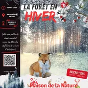 La forêt en hiver