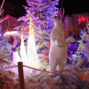 La Forêt Enchantée