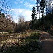 5 légendes alsaciennes bien flippantes !