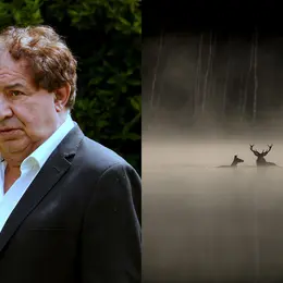 La forêt - Jean-François Heisser